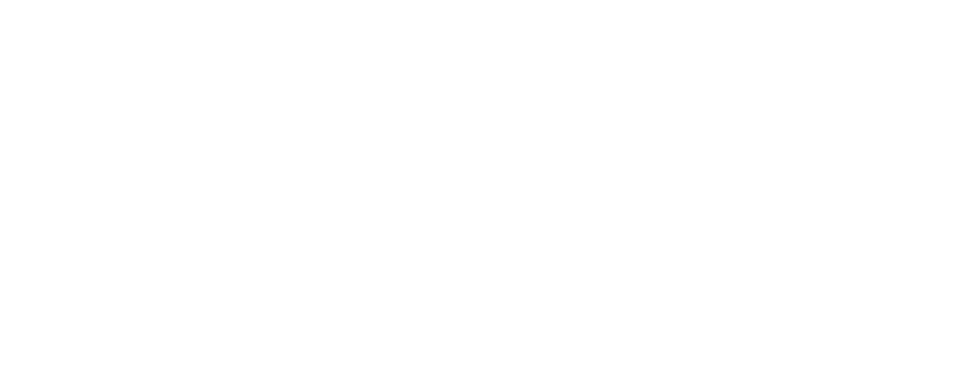 PLAY logo